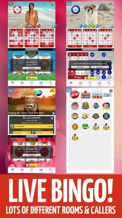 bingo boom chicken|BOOM BINGO: Live Video & Slots 17+ .